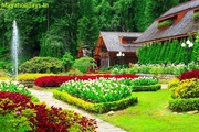Book Bangalore Mysore ooty Package
