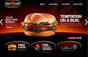 Dynamic  website design company Delhi