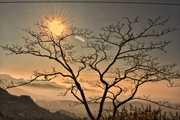 Kedarkantha Trek