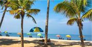 Honeymoon Tour Packages of Kerala