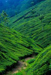 kerala tour packages from chennai