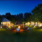 Best Resorts in Ranthambore | Corporate Team Outing in Ranthambore