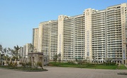 Luxury Apartments in Gurgaon for Sale and Rent 
