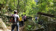 Must-See Places in Coorg: Tourist Hotspots Unveiled