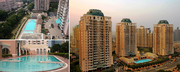Luxury Flats Gurgaon  in DLF Trinity Towers in Gurgaon for Rent