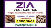 Cockroach Pest Control / Bed Bug Control / Termite Treatment / Call No