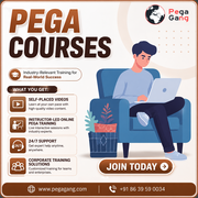 Affordable Pega Courses for Beginners and Experienced Professionals