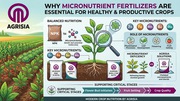Micronutrients for Stronger,  Healthier Plants