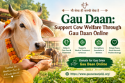 Gau Daan: Support Cow Welfare Through Gau Daan Online